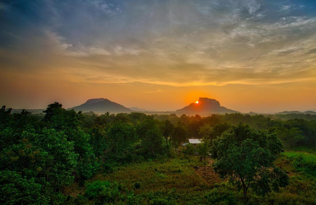 Choona Lodge 'View Of Sigiriya & Pidurangala With Sunrise' Bagian luar foto